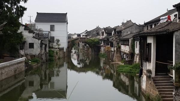 拯救精灵的土地8
